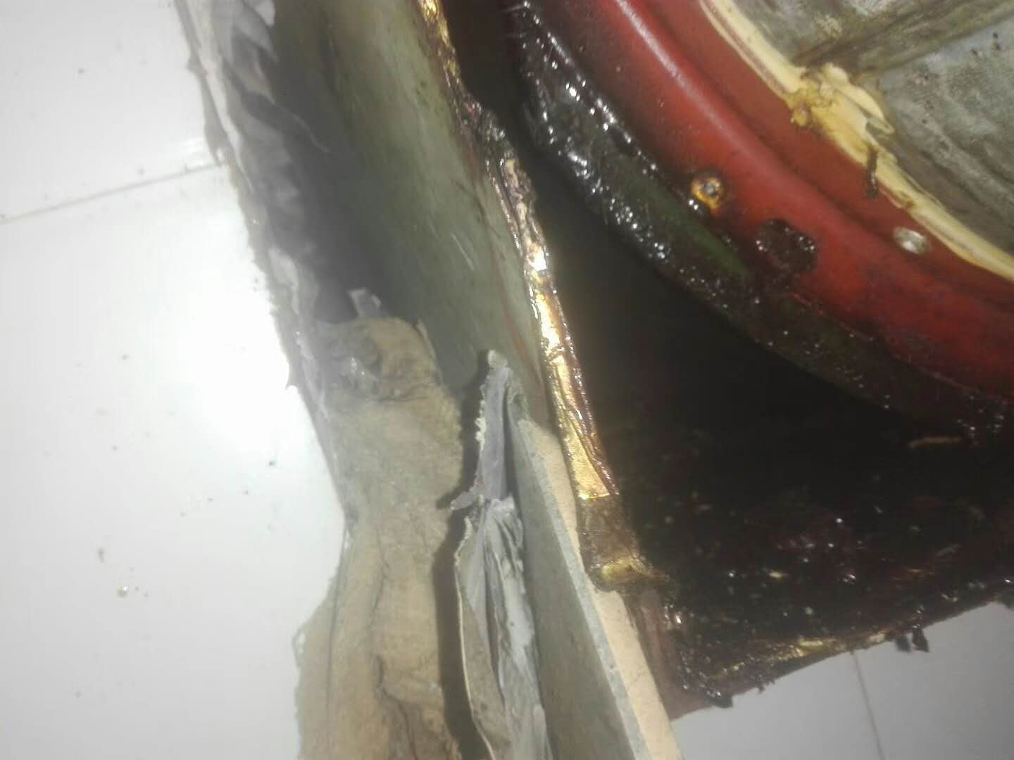 三门峡灭老鼠