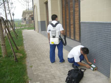 20140423N2R6TFFT4D.JPG