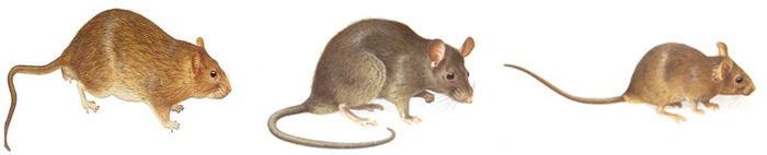 201401256260RJ4FL2.jpg