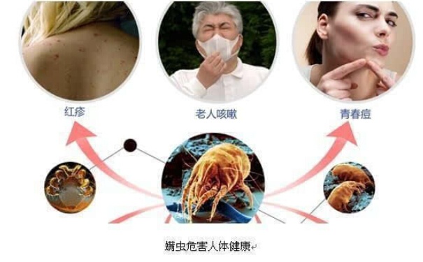 迅洁杀虫灭螨虫1.jpg