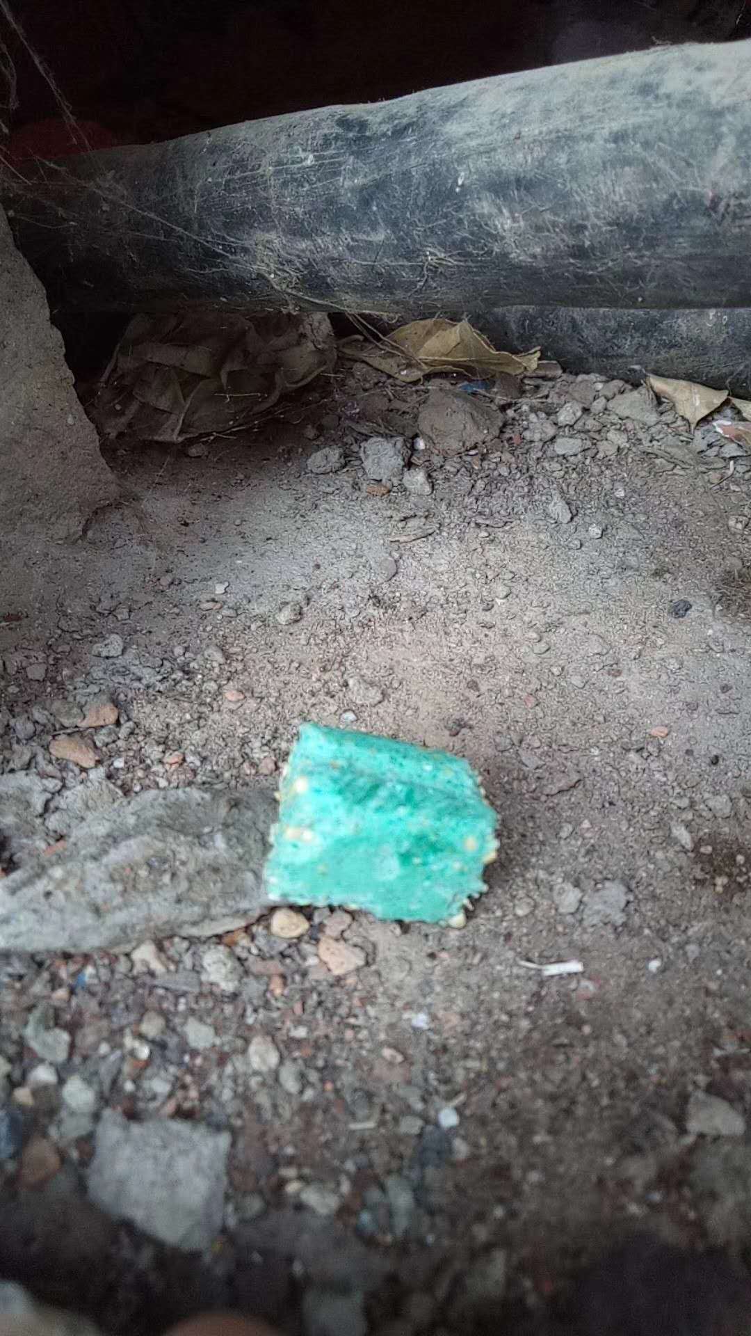 迅洁杀虫灭老鼠