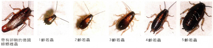 201306288N8BF40V0Z.jpg